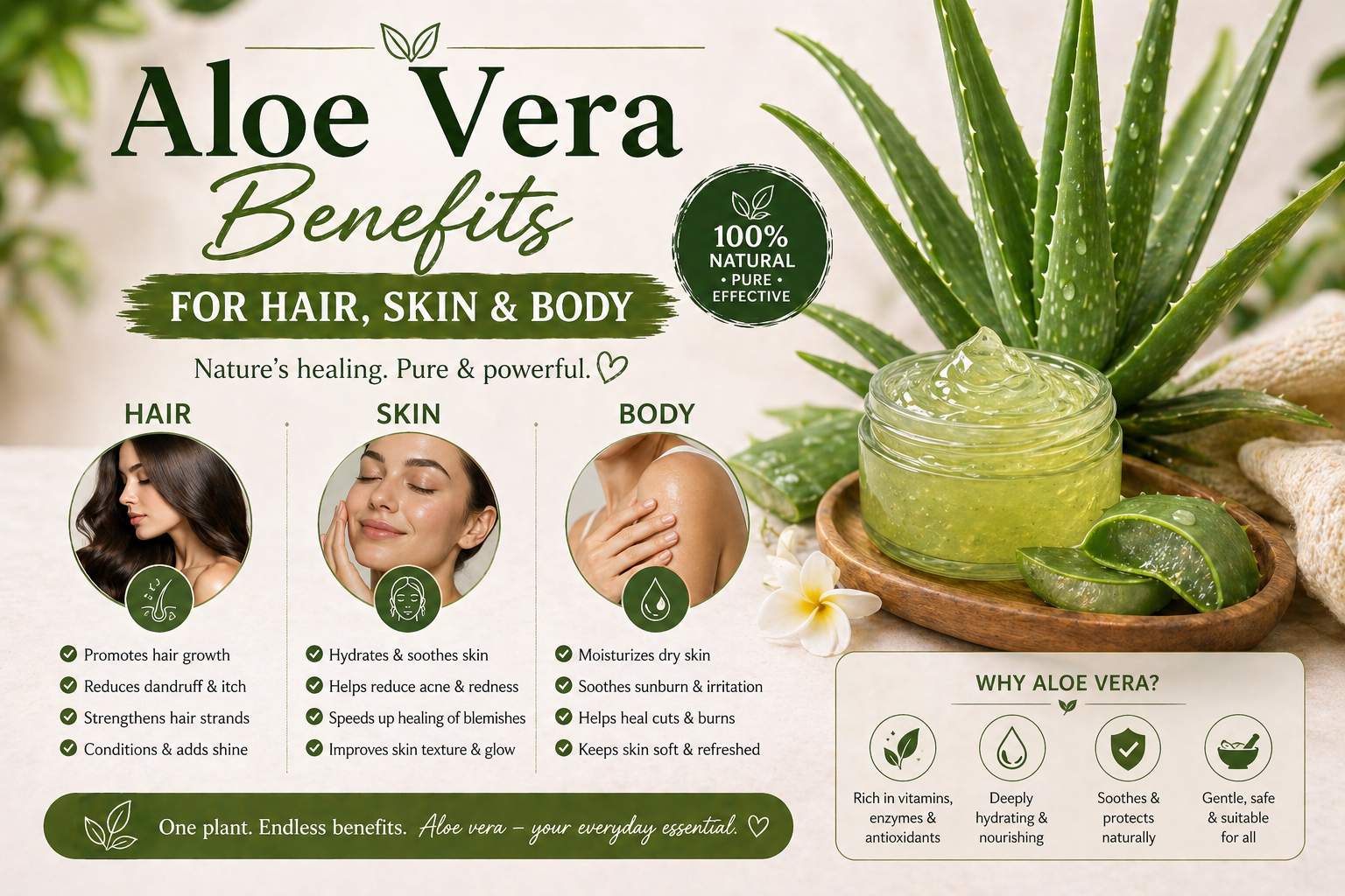 aloe vera benefits